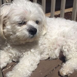 Meet your Posher, Mckenna